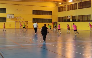 JDA handball adapté : 19 Résidents licenciés